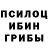 Псилоцибиновые грибы Psilocybe lost Bukovski
