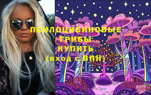 Альфа ПВП Алзамай
