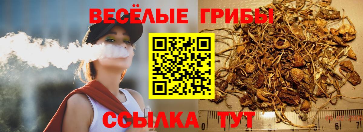 Псилоцибиновые грибы GOLDEN TEACHER Дмитров
